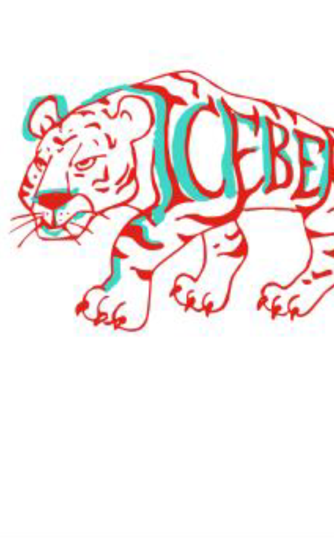 Iceberg T-Shirt