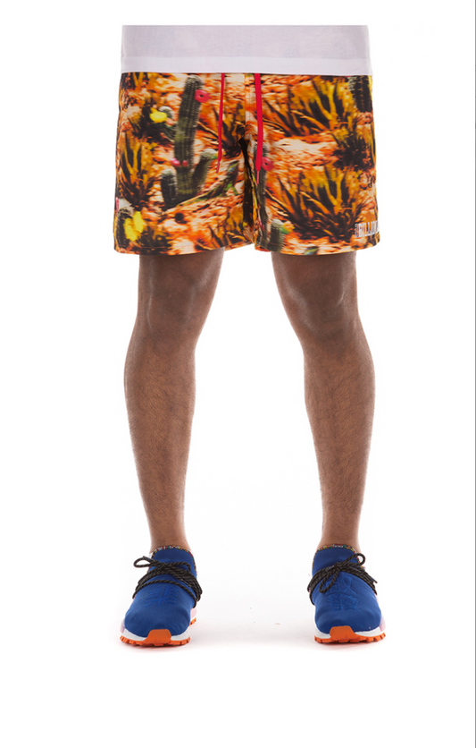Billionaire Boys Club Shorts