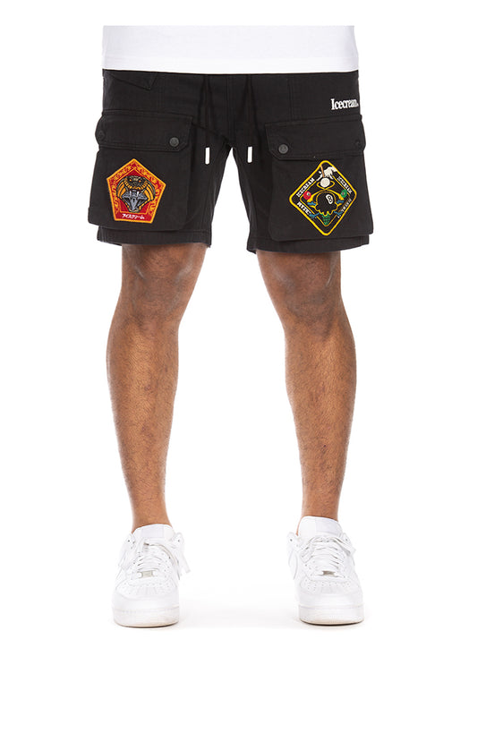 BBC Icecream Shorts