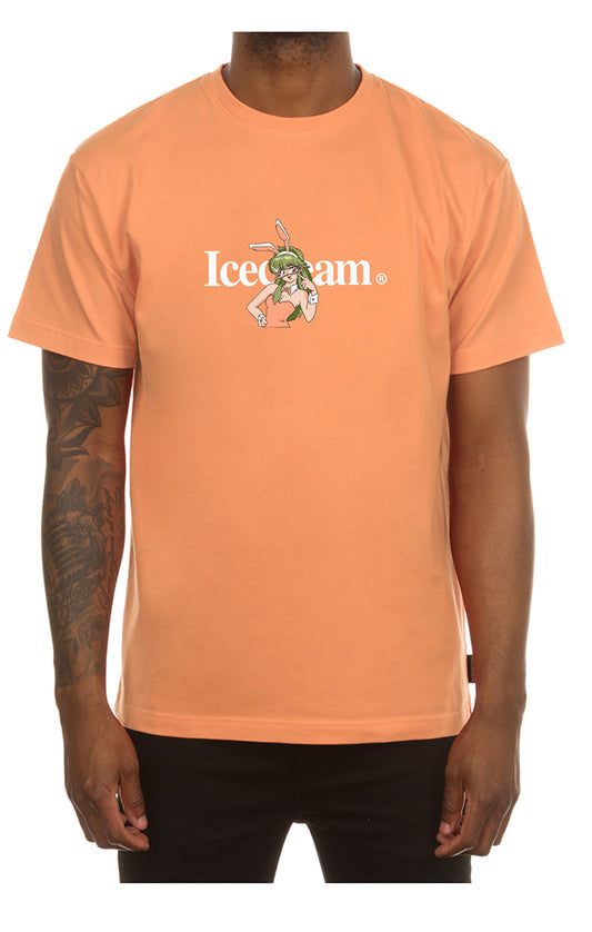 BBC Icecream T-Shirt